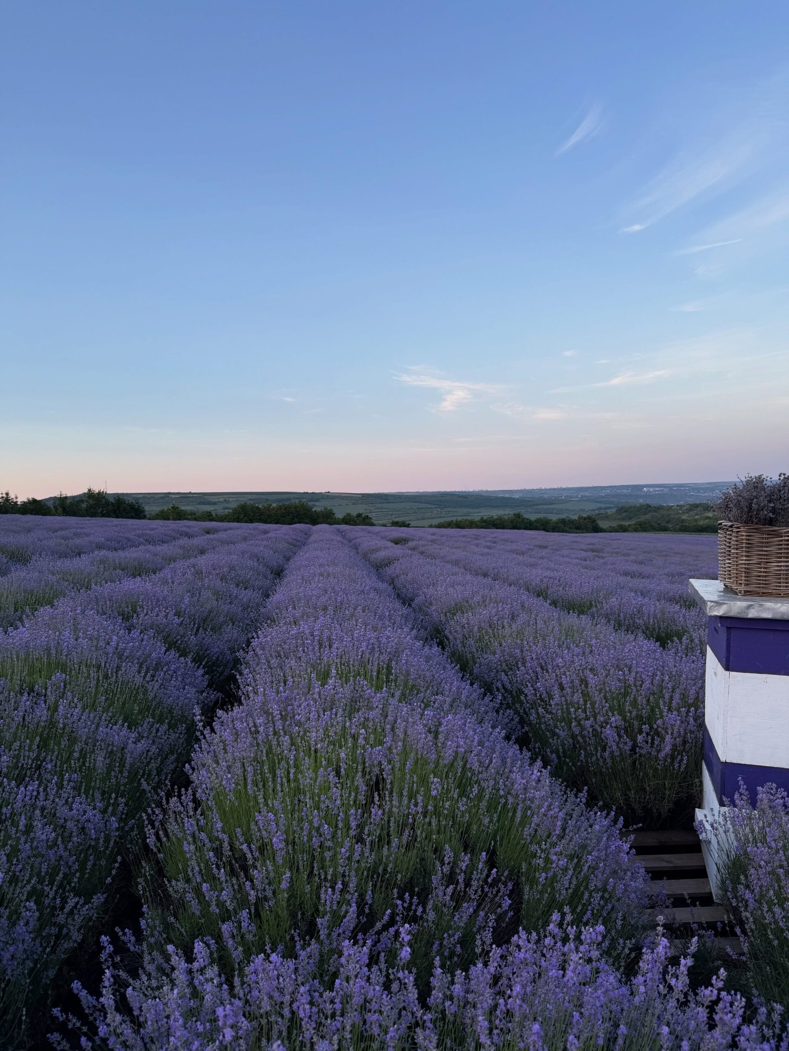 Terroir de l'Est - origine des produits